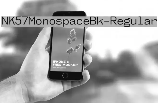 NK57MonospaceBk-Regular Example 2