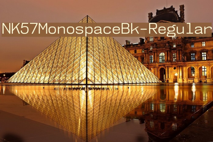 NK57MonospaceBk-Regular Font examples
