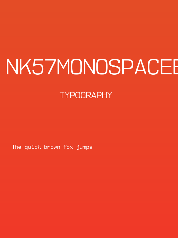 NK57MonospaceBk-Regular Poster