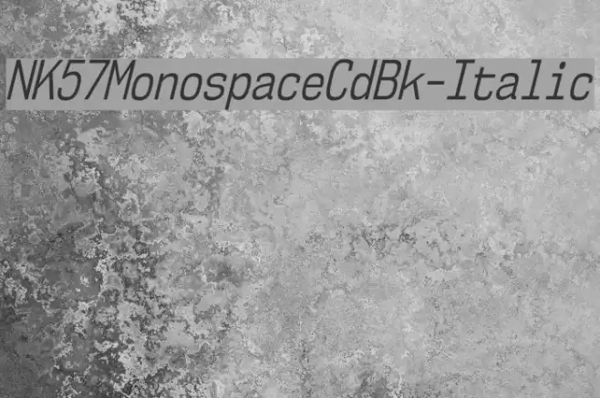 NK57MonospaceCdBk-Italic Font examples