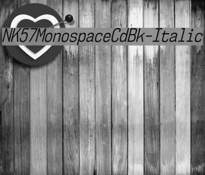 NK57MonospaceCdBk-Italic Font examples