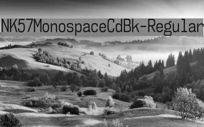 NK57MonospaceCdBk-Regular Font examples