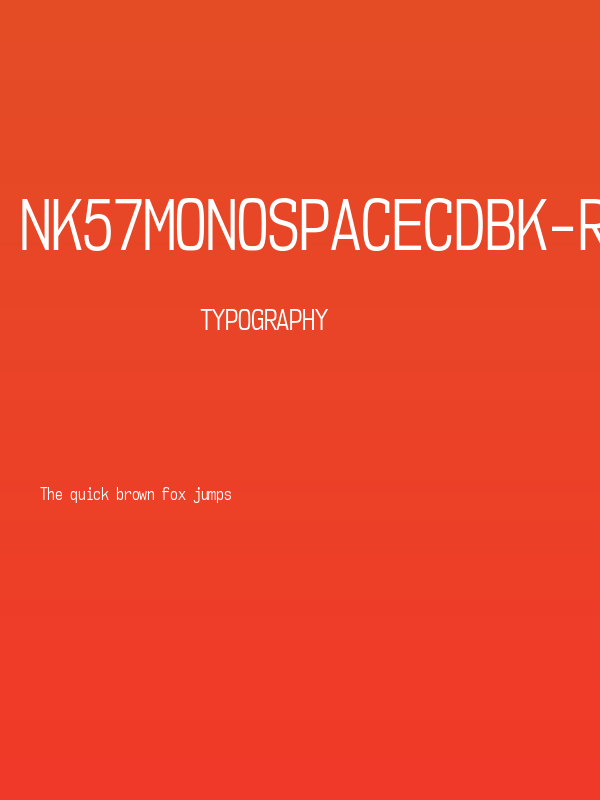 NK57MonospaceCdBk-Regular Poster