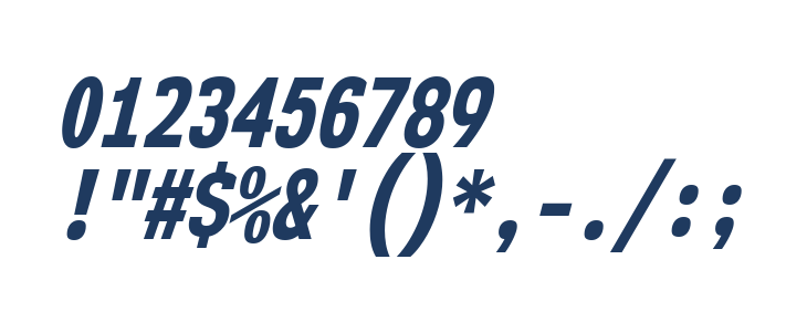 NK57MonospaceCdEb-Italic Other Characters