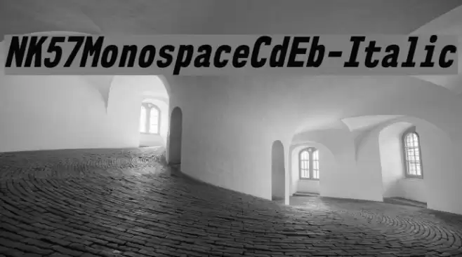 NK57MonospaceCdEb-Italic Font examples
