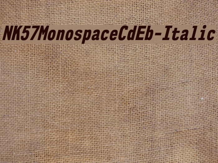 NK57MonospaceCdEb-Italic Example 2