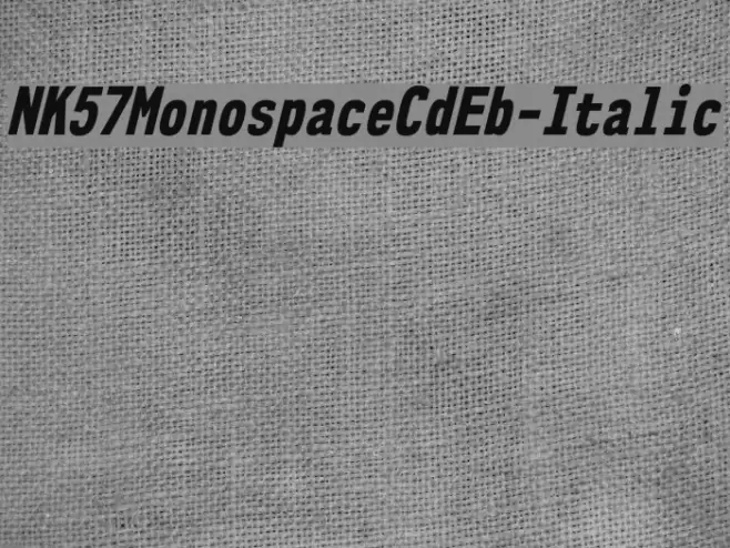 NK57MonospaceCdEb-Italic Font examples