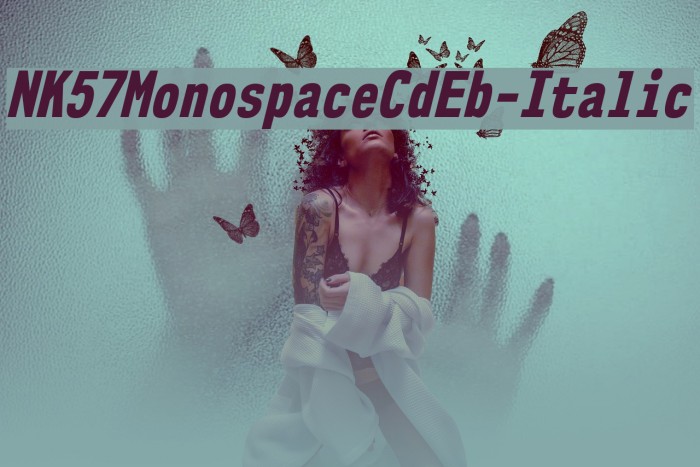 NK57MonospaceCdEb-Italic Example 3