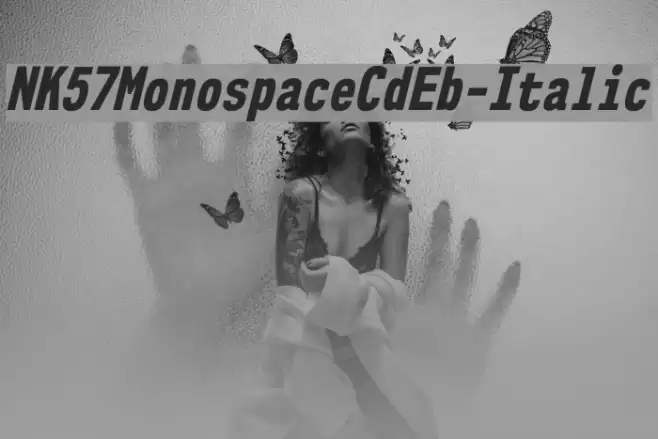 NK57MonospaceCdEb-Italic Font examples