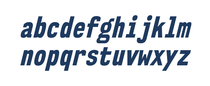 NK57MonospaceCdEb-Italic Lowercase