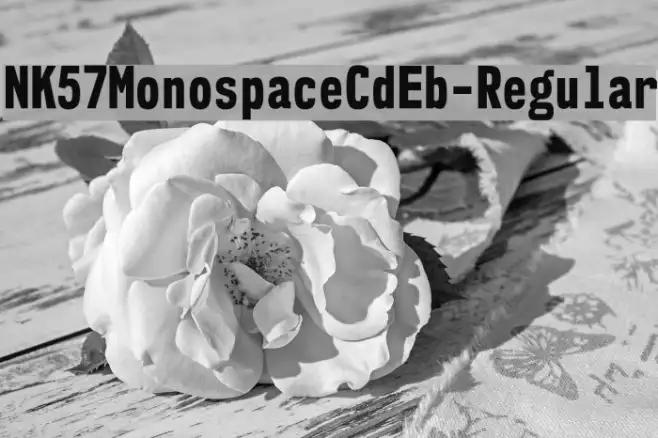 NK57MonospaceCdEb-Regular Example 1
