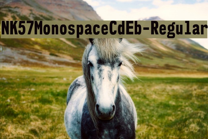 NK57MonospaceCdEb-Regular Font examples