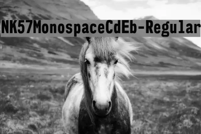 NK57MonospaceCdEb-Regular Example 2