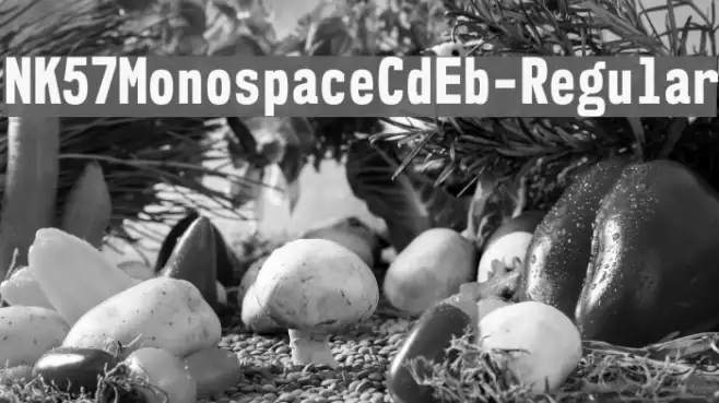 NK57MonospaceCdEb-Regular Example 3