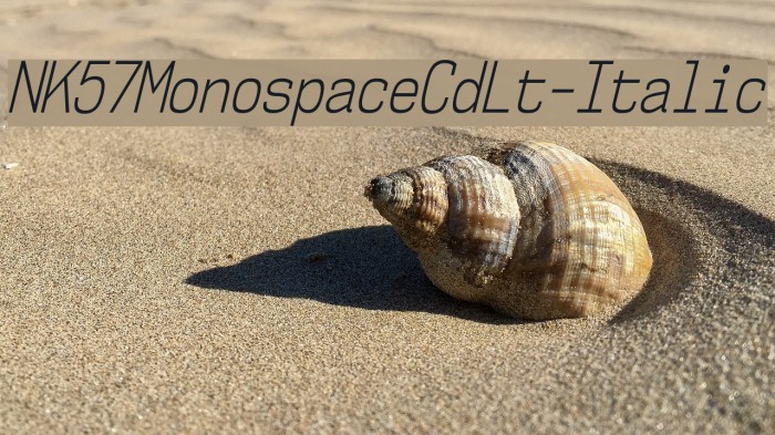 NK57MonospaceCdLt-Italic Font examples
