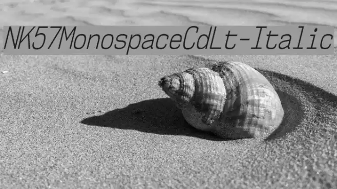 NK57MonospaceCdLt-Italic Font examples