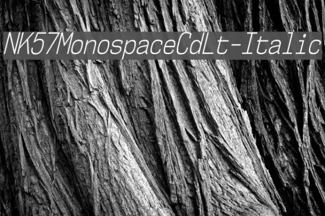 NK57MonospaceCdLt-Italic Font examples