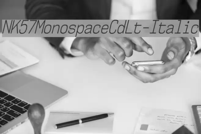 NK57MonospaceCdLt-Italic Font examples