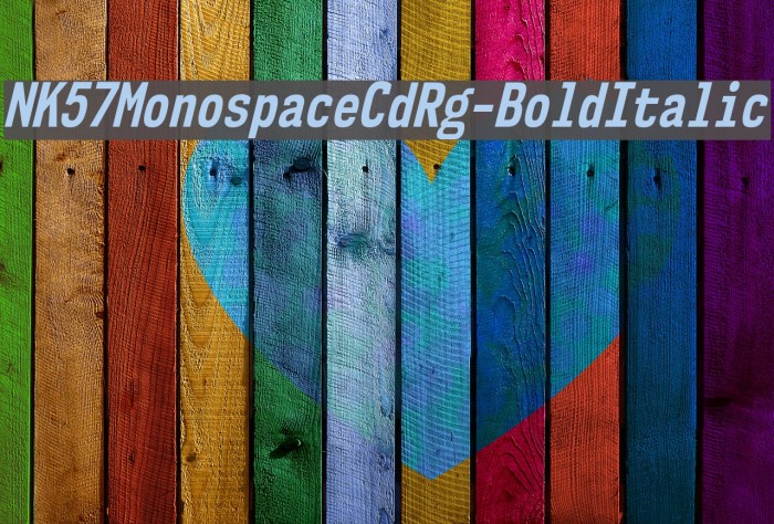 NK57MonospaceCdRg-BoldItalic Font examples