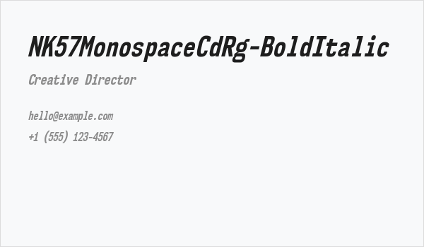 NK57MonospaceCdRg-BoldItalic Business Card