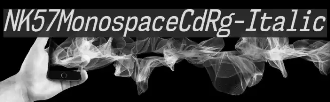 NK57MonospaceCdRg-Italic Font examples