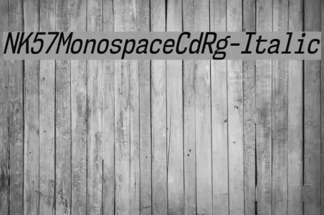 NK57MonospaceCdRg-Italic Font examples