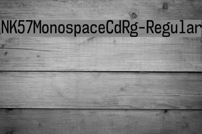 NK57MonospaceCdRg-Regular Example 1