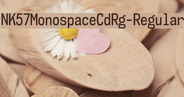 NK57MonospaceCdRg-Regular Font examples