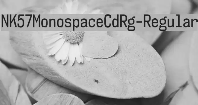 NK57MonospaceCdRg-Regular Example 2