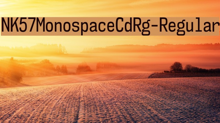 NK57MonospaceCdRg-Regular Font examples