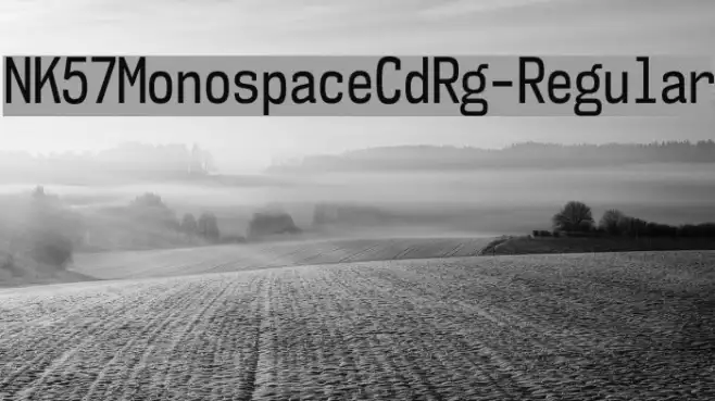 NK57MonospaceCdRg-Regular Example 3