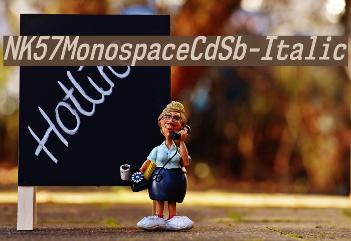 NK57MonospaceCdSb-Italic Font examples