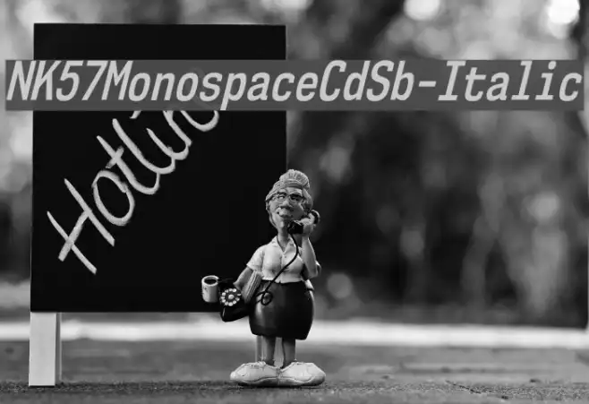 NK57MonospaceCdSb-Italic Example 1
