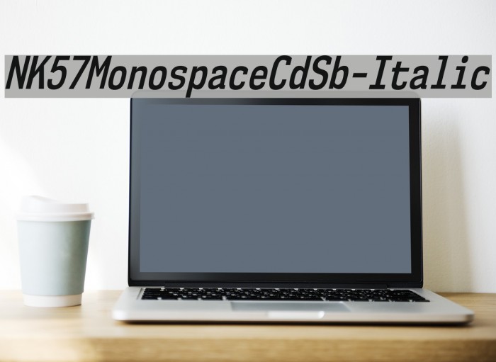NK57MonospaceCdSb-Italic Font examples
