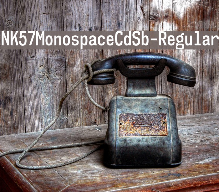 NK57MonospaceCdSb-Regular Font examples