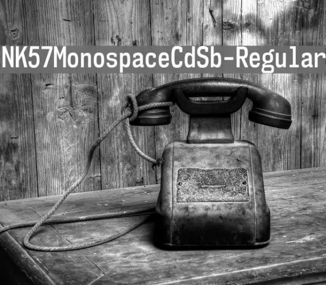 NK57MonospaceCdSb-Regular Font examples