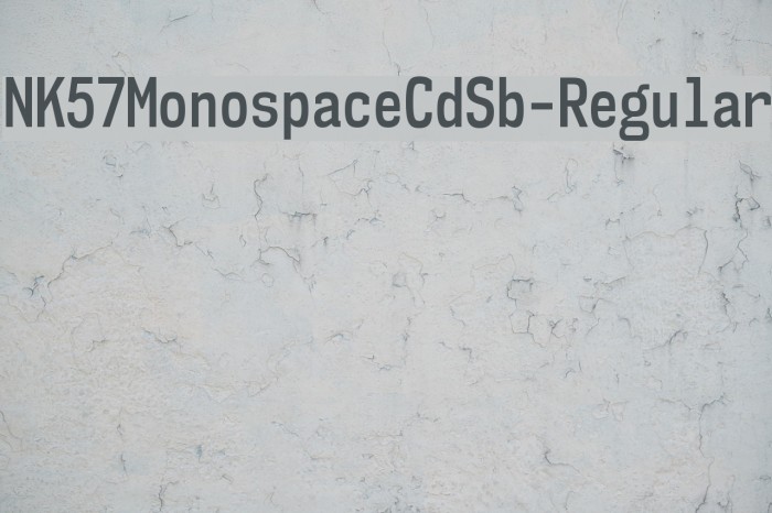 NK57MonospaceCdSb-Regular Font examples
