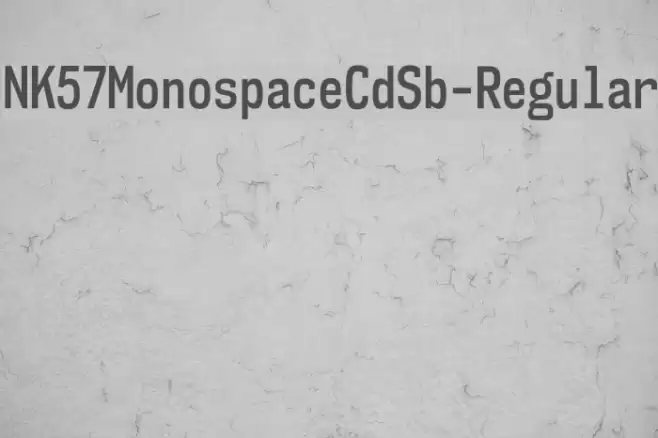 NK57MonospaceCdSb-Regular Font examples
