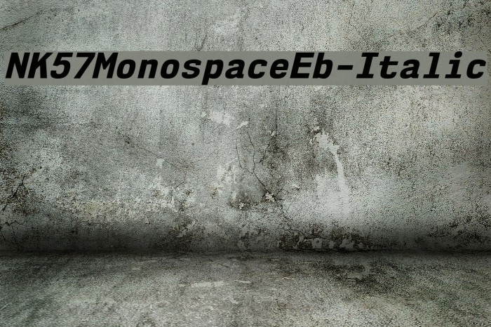NK57MonospaceEb-Italic Font examples