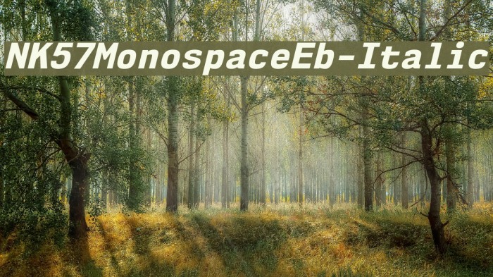 NK57MonospaceEb-Italic Font examples
