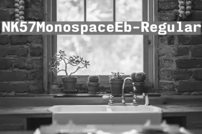 NK57MonospaceEb-Regular Example 1