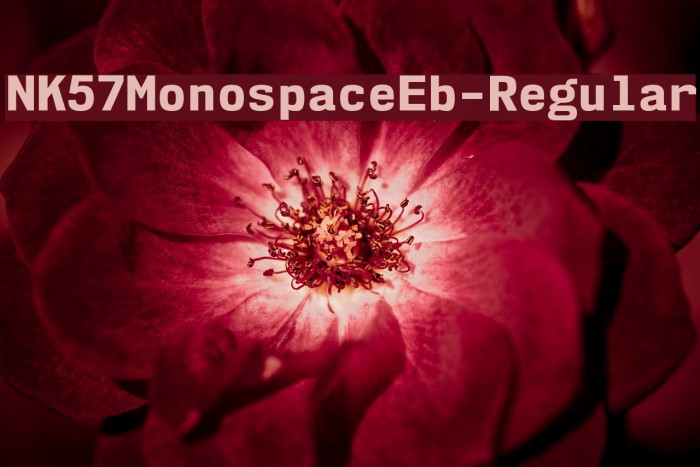 NK57MonospaceEb-Regular Font examples