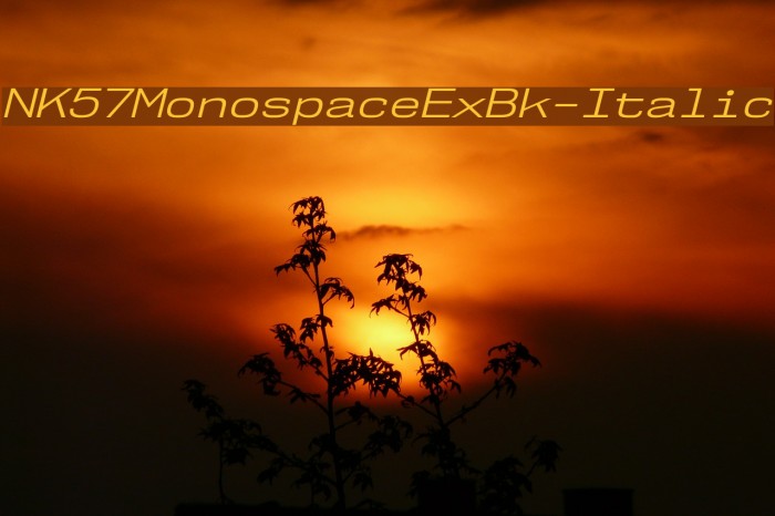 NK57MonospaceExBk-Italic Schriftart examples