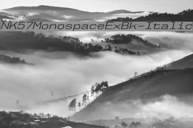 NK57MonospaceExBk-Italic Schriftart examples