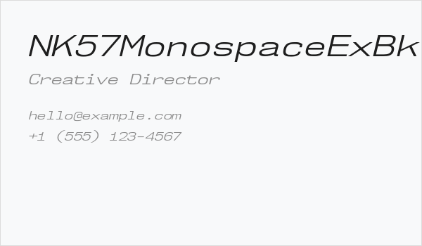 NK57MonospaceExBk-Italic Business Card