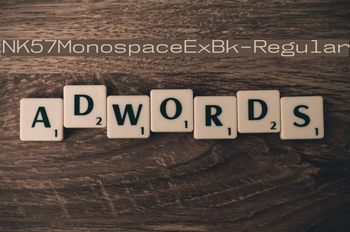 NK57MonospaceExBk-Regular Font examples