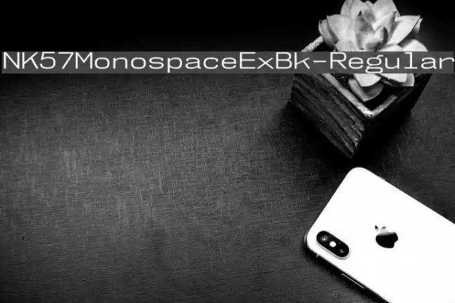 NK57MonospaceExBk-Regular Font examples