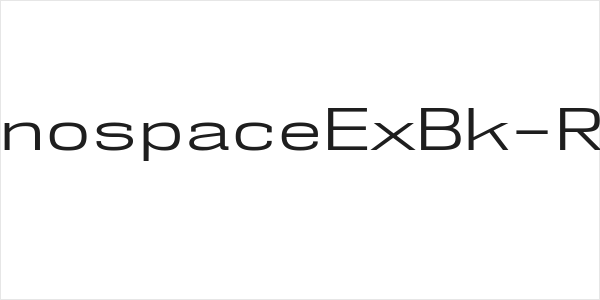 NK57MonospaceExBk-Regular Logo