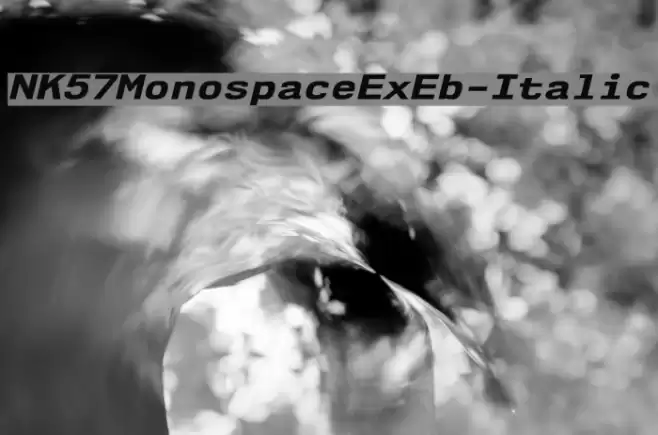 NK57MonospaceExEb-Italic  examples
