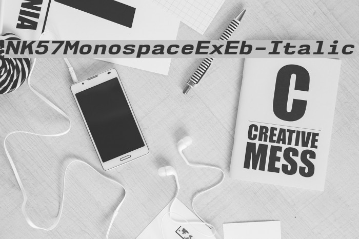 NK57MonospaceExEb-Italic Font examples